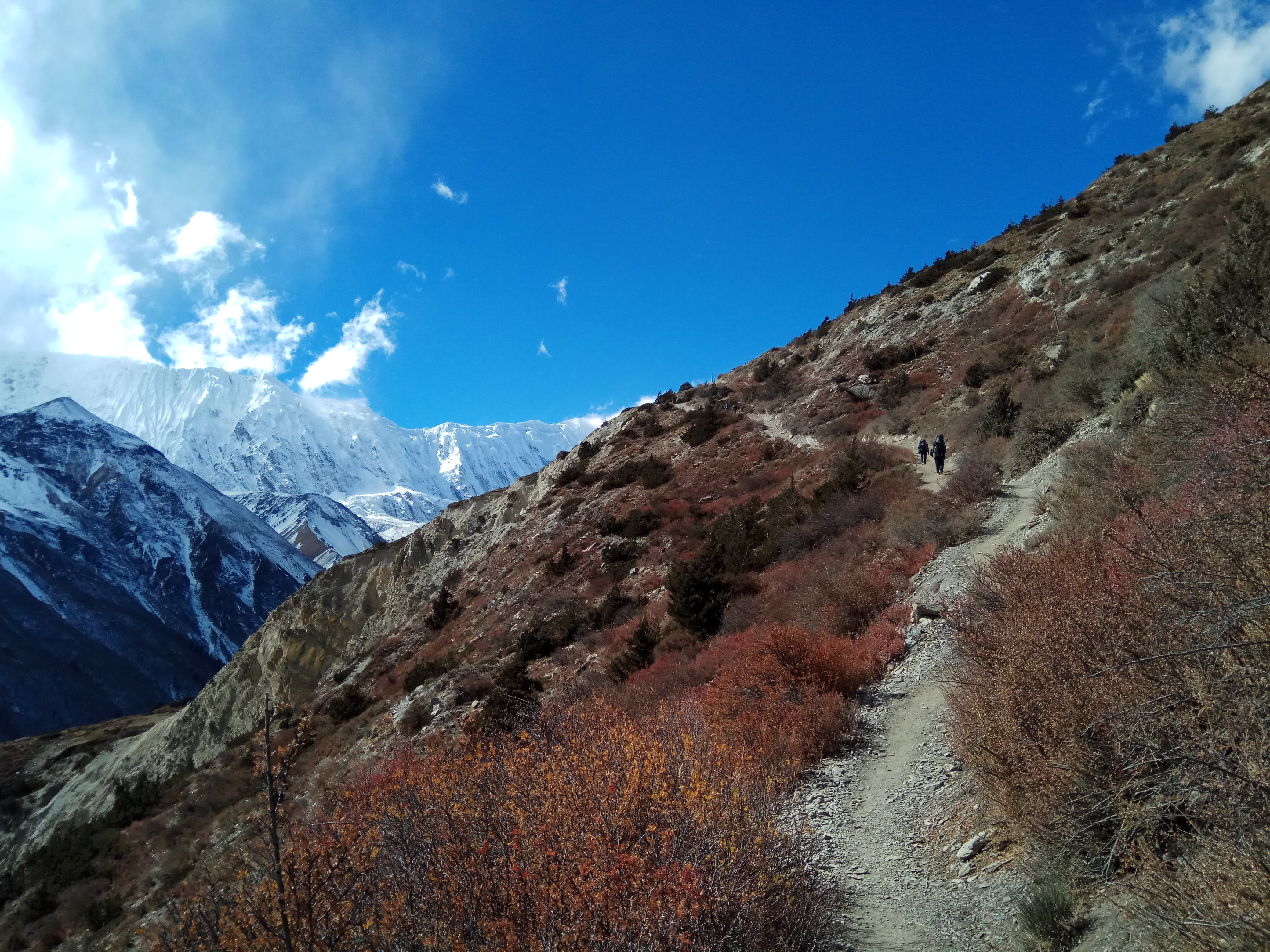 Annapurna Region Trek