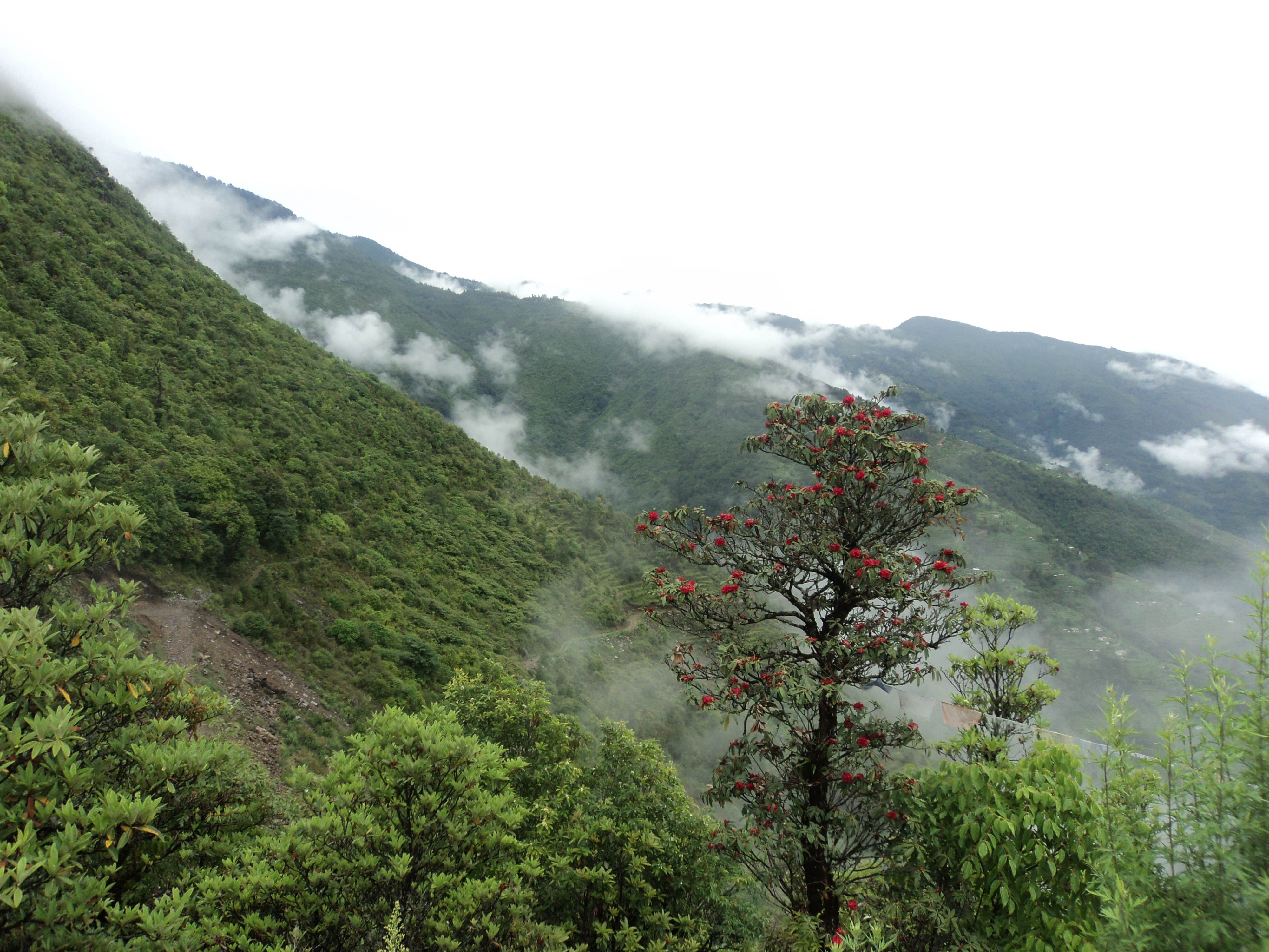 Helambu Trek