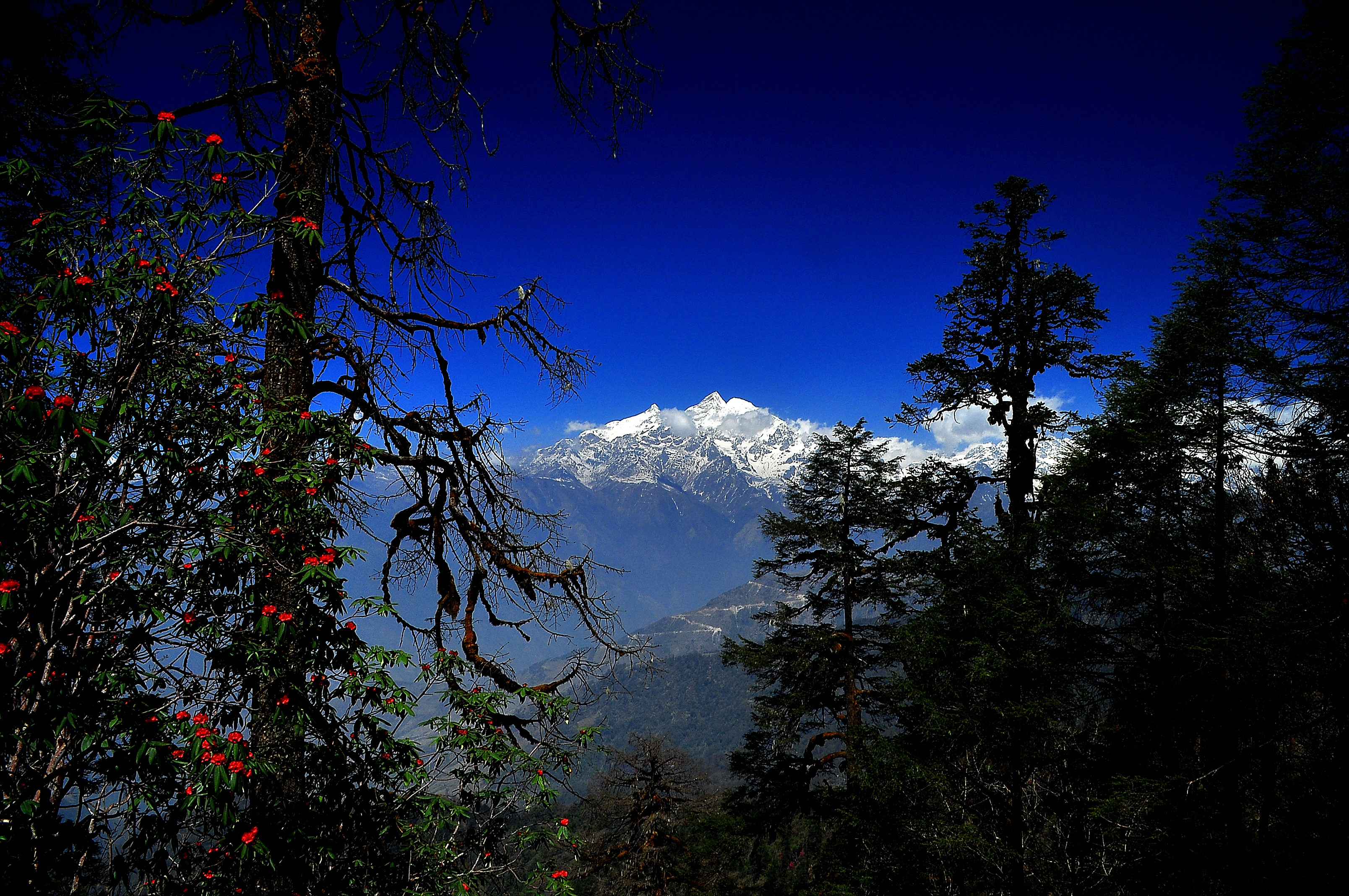 Manaslu Region Trek